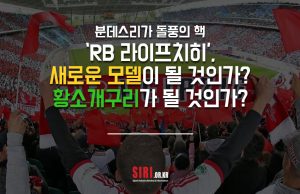 ‘RB 라이프치히’, 새로운 모델이 될 것인가? 황소개구리가 될 것인가?