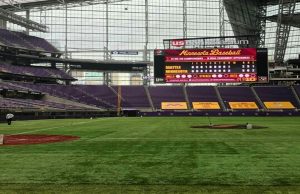 ‘새들의 무덤’으로 변한 US 뱅크 스타디움