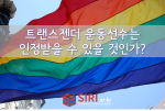 트랜스젠더