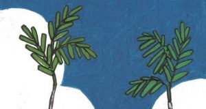 한여름 밤의 클래식 매치, 현대캐피탈과 삼성화재 경기 갖는다