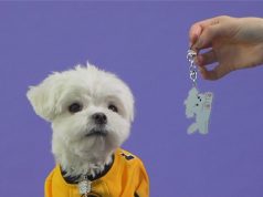 리브 샌드박스, 동물의 날 기념 기부 프로젝트 상품 공개