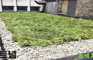 환경을 위한 PL클럽의 노력(BBC 스포츠 기사 발췌)