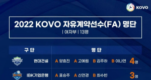 여자배구, 자유계약선수(FA) 명단 조기 공시