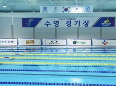 뜨거운 수영의 열기, 전국체전에서 잇는다